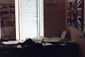 Manchester Office 3